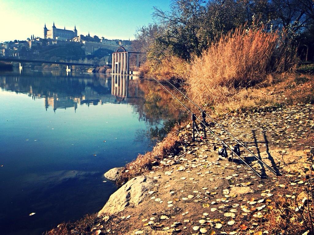 2013 - 2 - image11111111111111111111111.jpg